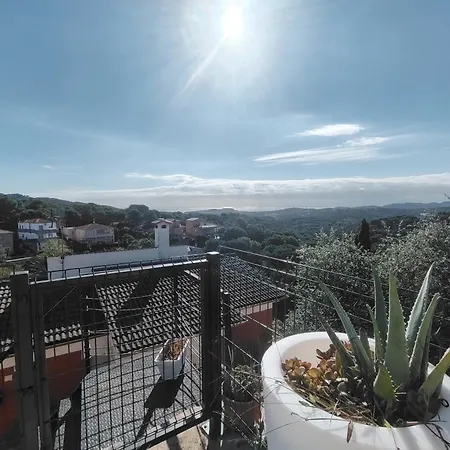 Pura Vida Tatil Evi