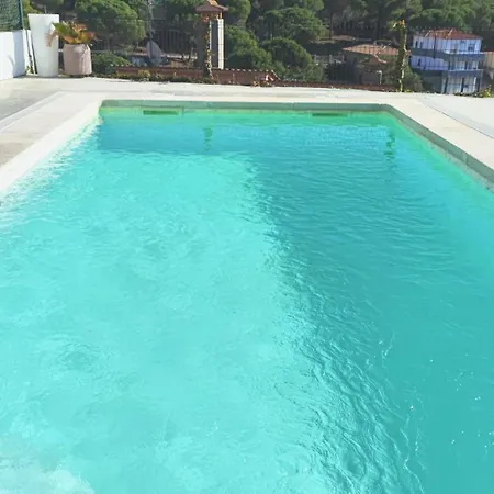 Pura Vida * يوريت دي مار