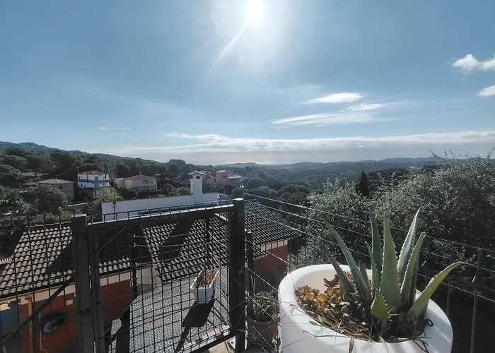 Pura Vida Hébergement de vacances